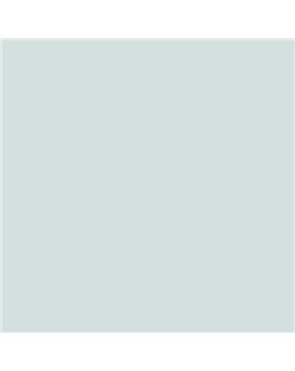 ESMALTE AL AGUA AQUALAC MATE (OFERTA) COLOR S 1005-B80G