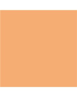 ESMALTE AL AGUA AQUALAC MATE (OFERTA) COLOR S 1040-Y40R