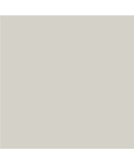 ESMALTE AL AGUA AQUALAC MATE (OFERTA) COLOR S 1502-Y
