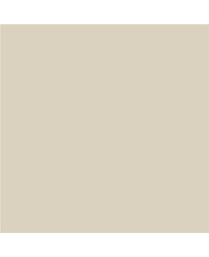 ESMALTE AL AGUA AQUALAC MATE (OFERTA) COLOR S 1505-Y20R