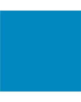 ESMALTE AL AGUA AQUALAC MATE (OFERTA) COLOR S 1565-B