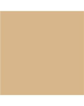 ESMALTE AL AGUA AQUALAC MATE (OFERTA) COLOR S 2020-Y20R