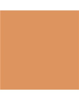 ESMALTE AL AGUA AQUALAC MATE (OFERTA) COLOR S 2040-Y40R