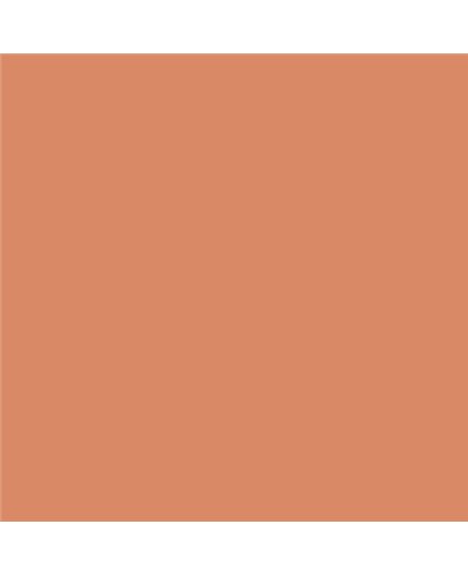 ESMALTE AL AGUA AQUALAC MATE (OFERTA) COLOR S 2040-Y60R