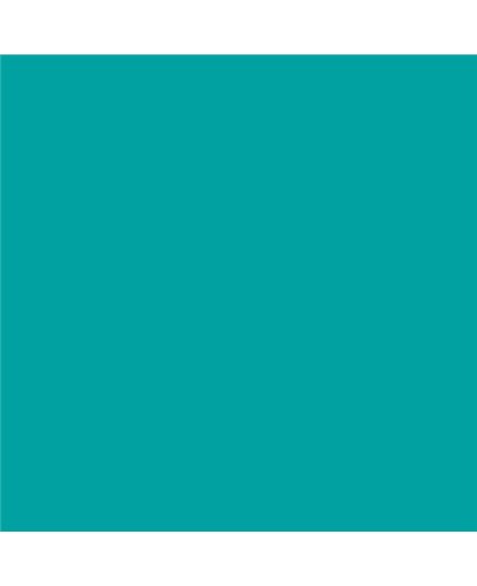 ESMALTE AL AGUA AQUALAC MATE (OFERTA) COLOR S 2050-B50G