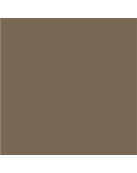 ESMALTE AL AGUA AQUALAC MATE (OFERTA) COLOR S 6010-Y10R