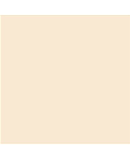 ESMALTE SINTETICO JUNOMALTE BRILLO (OFERTA) COLOR S 0507-Y40R