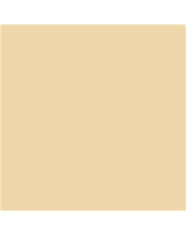 ESMALTE SINTETICO JUNOMALTE BRILLO (OFERTA) COLOR S 1015-Y20R