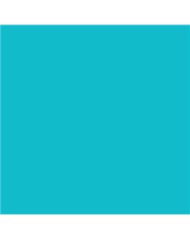 ESMALTE SINTETICO JUNOMALTE BRILLO (OFERTA) COLOR S 1050-B30G