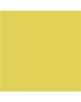 ESMALTE SINTETICO JUNOMALTE BRILLO (OFERTA) COLOR S 1050-G90Y