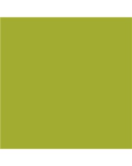 ESMALTE SINTETICO JUNOMALTE BRILLO (OFERTA) COLOR S 2060-G60Y