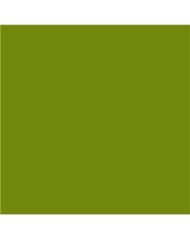 ESMALTE SINTETICO JUNOMALTE BRILLO (OFERTA) COLOR S 3065-G50Y