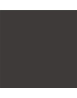 ESMALTE SINTETICO JUNOMALTE BRILLO (OFERTA) COLOR RAL 8019