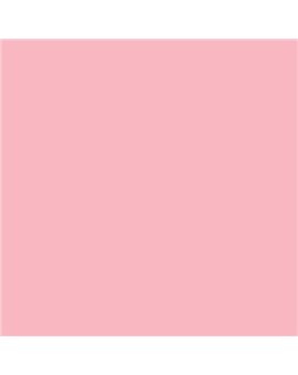 ESMALTE SINTETICO JUNOMALTE SATINADO (OFERTA) COLOR S 0530-R10B
