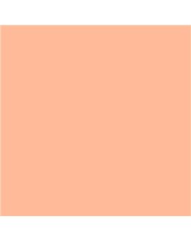 ESMALTE SINTETICO JUNOMALTE SATINADO (OFERTA) COLOR S 0530-Y60R