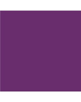 ESMALTE SINTETICO JUNOMALTE SATINADO (OFERTA) COLOR S 4050-R50B