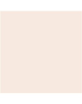 ESMALTE SINTETICO JUNOPLUS SATINADO (OFERTA) COLOR S 0505-Y70R