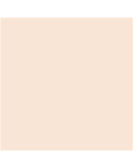 ESMALTE SINTETICO JUNOPLUS SATINADO (OFERTA) COLOR S 0507-Y60R