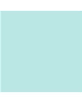 ESMALTE SINTETICO JUNOPLUS SATINADO (OFERTA) COLOR S 0520-B50G