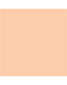 ESMALTE SINTETICO JUNOPLUS SATINADO (OFERTA) COLOR S 0520-Y50R