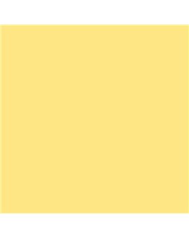 ESMALTE SINTETICO JUNOPLUS MATE (OFERTA) COLOR S 0540-Y