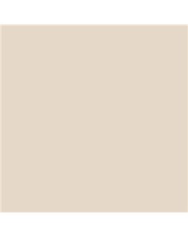 ESMALTE SINTETICO JUNOPLUS MATE (OFERTA) COLOR S 1005-Y50R