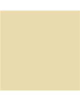 ESMALTE SINTETICO JUNOPLUS MATE (OFERTA) COLOR S 1015-Y