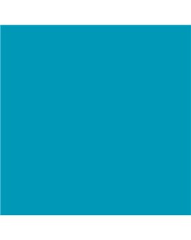ESMALTE SINTETICO JUNOPLUS MATE (OFERTA) COLOR S 2050-B10G