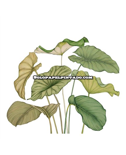 m-wdwt202227942v-mural-wonderwalls-3-casadeco-hojas-moderno-tejido-no-tejido-super-lavable