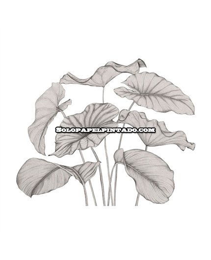 m-wdwt202229340v-mural-wonderwalls-3-casadeco-hojas-moderno-tejido-no-tejido-super-lavable