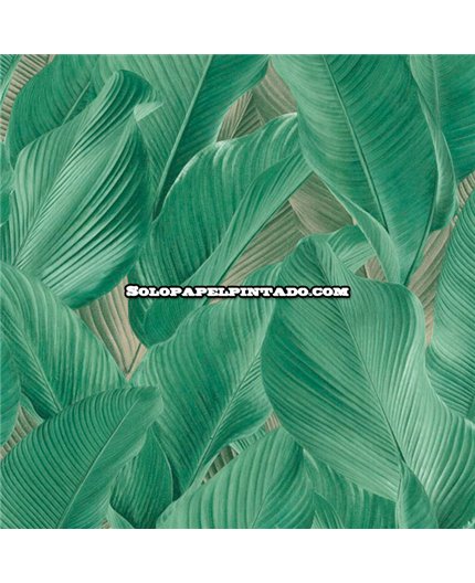 13304-papel-pintado-tahiti-kemen-hojas-moderno-tejido-no-tejido-super-lavable