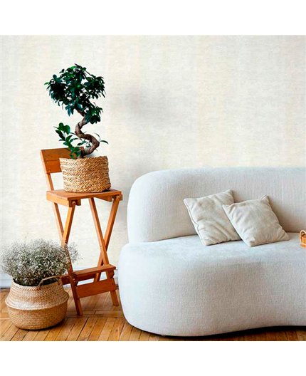 Ref.21162 foto de ambiente liso texturizado silva essence fondo Blanco Roto con Nácar