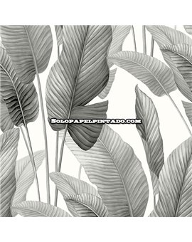 Papel Pintado BALI TROPICAL Ref. AG60010.
