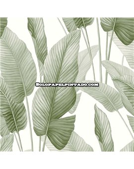 Papel Pintado BALI TROPICAL Ref. AG60004.