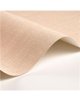 Papel Pintado SO COLOR 6 Ref. SOCO200254114.