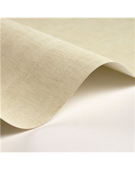Papel Pintado SO COLOR 6 Ref. SOCO200257020.