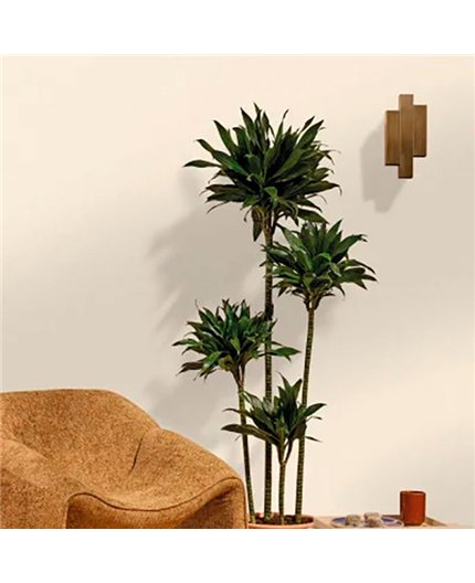 Papel Pintado ELEA Ref. ELEA107331000.