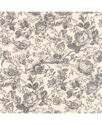 Papel Pintado LES BELLES TOILES DE JOUY 2 Ref. BTJD201729909.