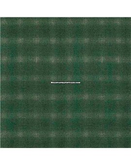 Papel Pintado FUNNY WALLS V Ref. 250-6059.