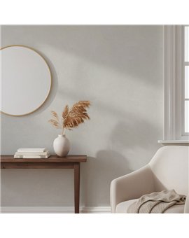 Ref.SILE-003 estancia decorada con estuco cemento en tono Beige, silence