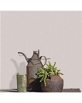 Ref.SILE-061 estancia decorada con liso mate en tono Topo, silence