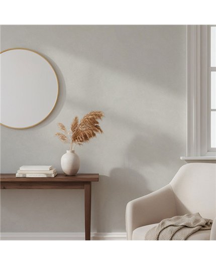 Ref.SILE-003 estancia decorada con estuco cemento en tono Beige, silence