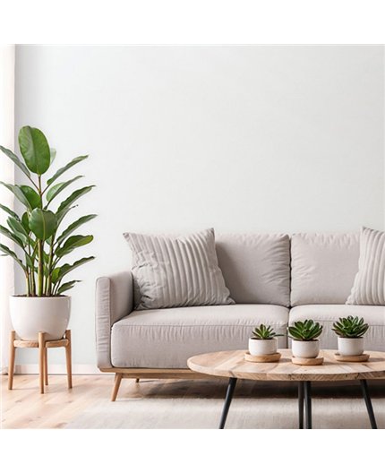 Ref.SP2593 ambiente real de arcos concéntricos supreme, acabado Blanco Roto