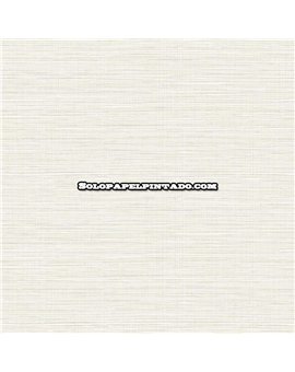 ew50825-papel-pintado-white-accents-wallquest-rafia-moderno-papel-sd