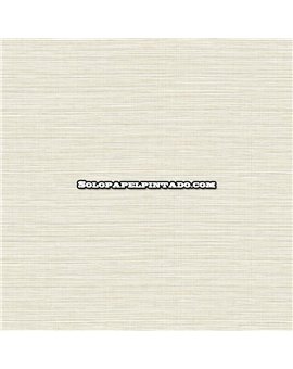 ew50805-papel-pintado-white-accents-wallquest-rafia-moderno-papel-sd