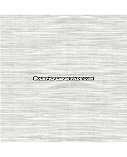 ew50802-papel-pintado-white-accents-wallquest-rafia-moderno-papel-sd