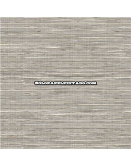 ew50815-papel-pintado-white-accents-wallquest-rafia-moderno-papel-sd