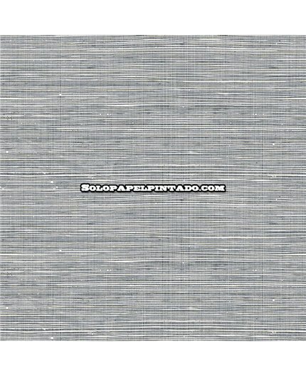 ew50800-papel-pintado-white-accents-wallquest-rafia-moderno-papel-sd