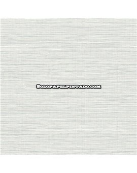 ew50802-papel-pintado-white-accents-wallquest-rafia-moderno-papel-sd