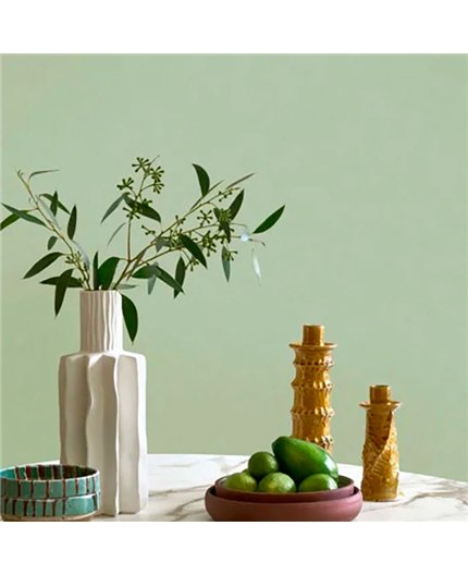 Ref.FAMI-202737102 estancia decorada con liso acabado Verde, maison de famille